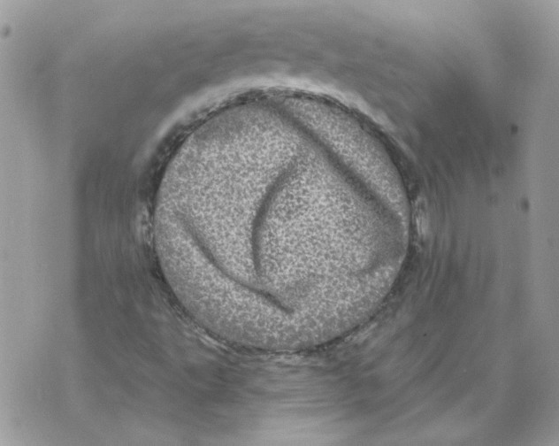 X0000070341495200607071959