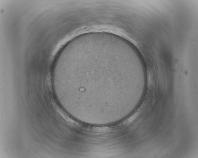 X0000070341498200607071959