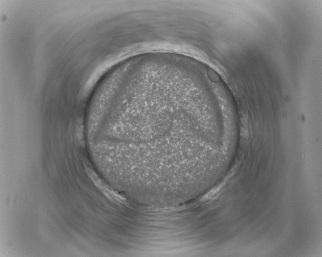 X0000070341499200607071959