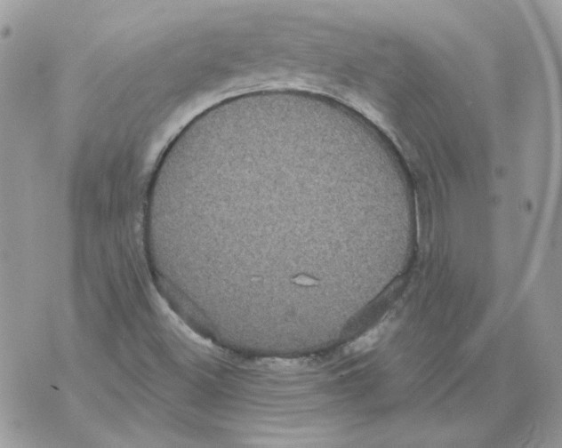 X0000070341500200607072000