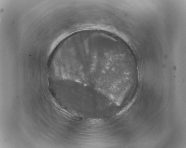 X0000070341501200607072000