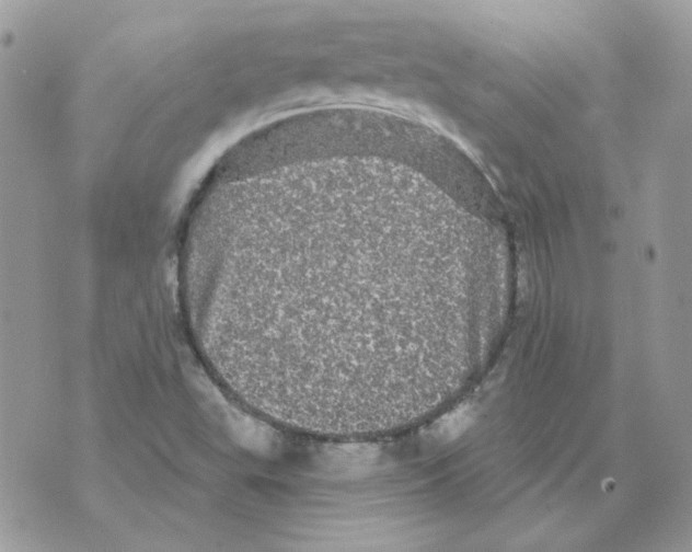 X0000070341503200607072000