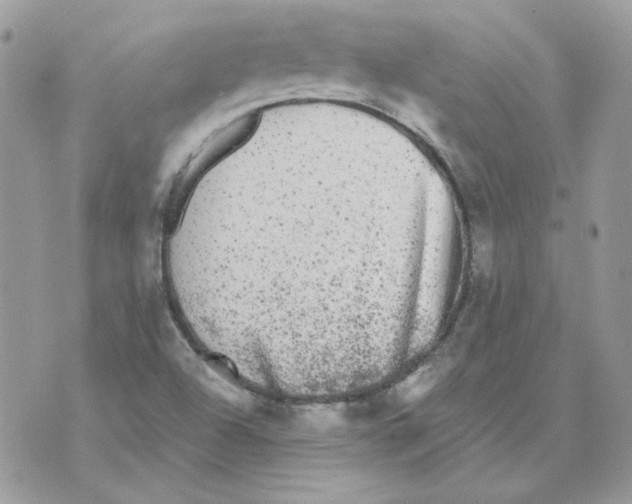 X0000070341504200607072000