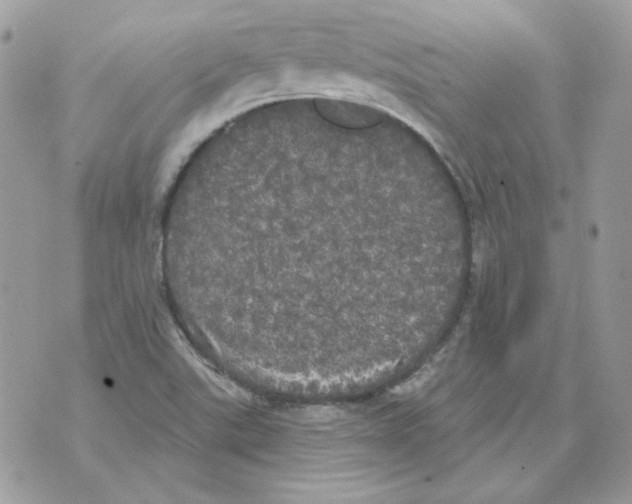 X0000070341507200607072000