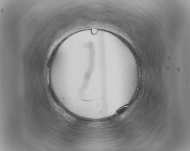 X0000070341510200607072000