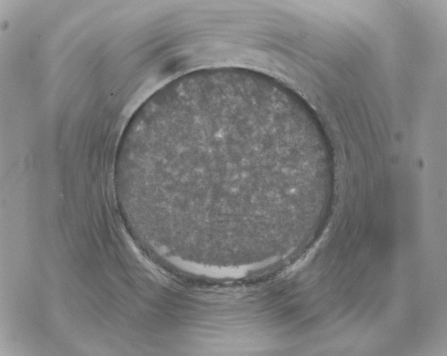 X0000070341513200607072000