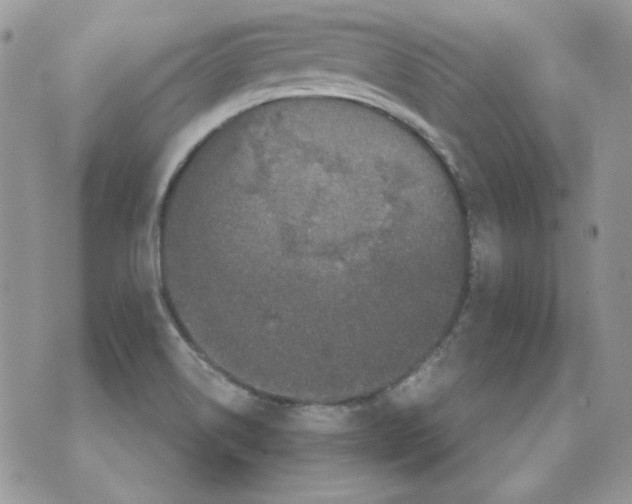 X0000070341514200607072000