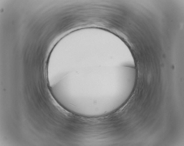 X0000070341516200607072000