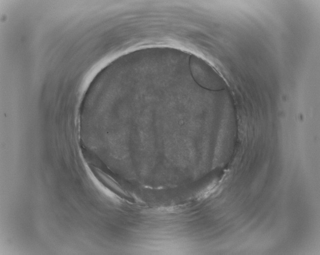 X0000070341519200607072000