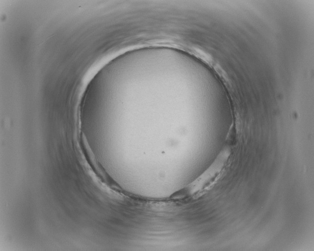 X0000070341520200607072000