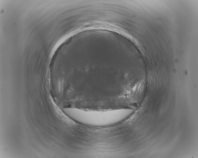 X0000070341522200607072000