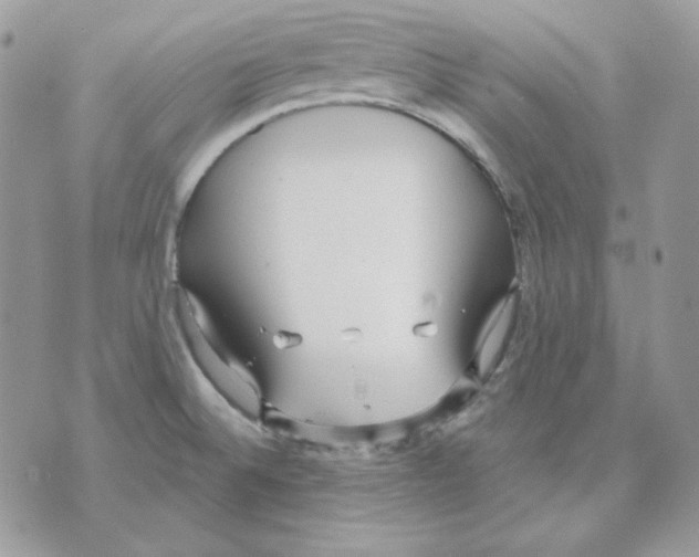 X0000070341524200607072000