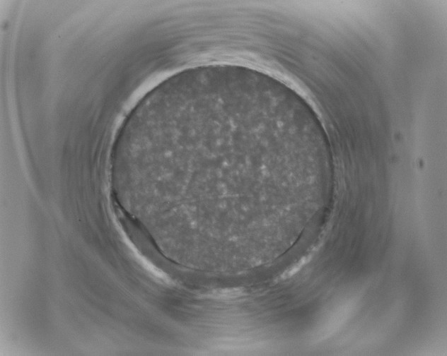 X0000070341525200607072000