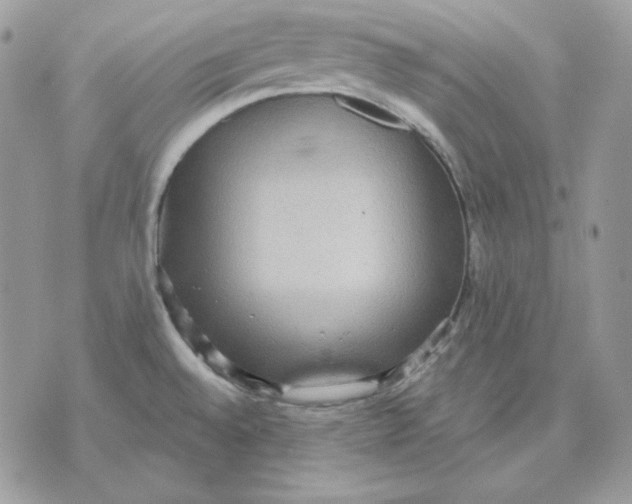 X0000070341528200607072000