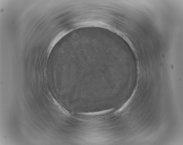 X0000070341529200607072000