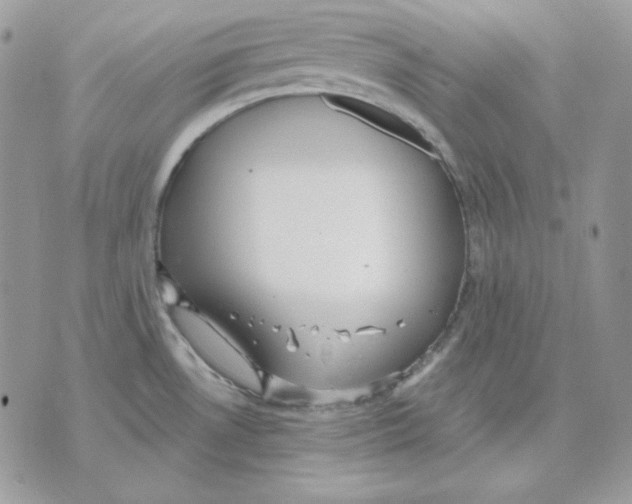 X0000070341530200607072000