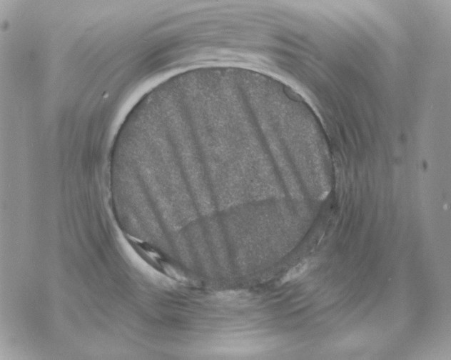 X0000070341531200607072000