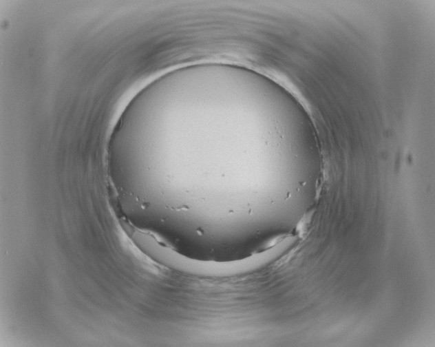 X0000070341532200607072000