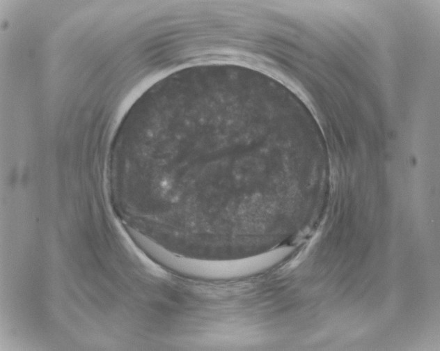 X0000070341533200607072000