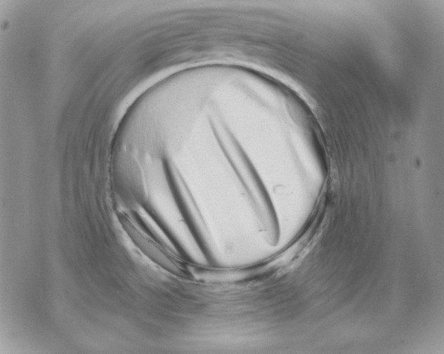 X0000070341534200607072000