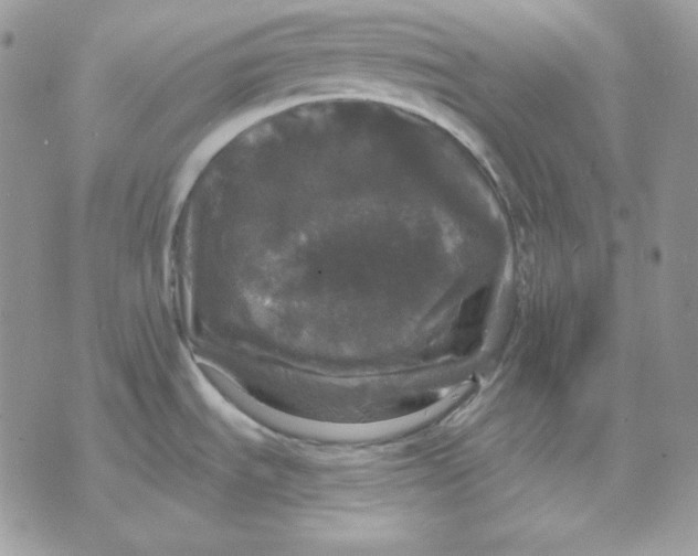 X0000070341535200607072000