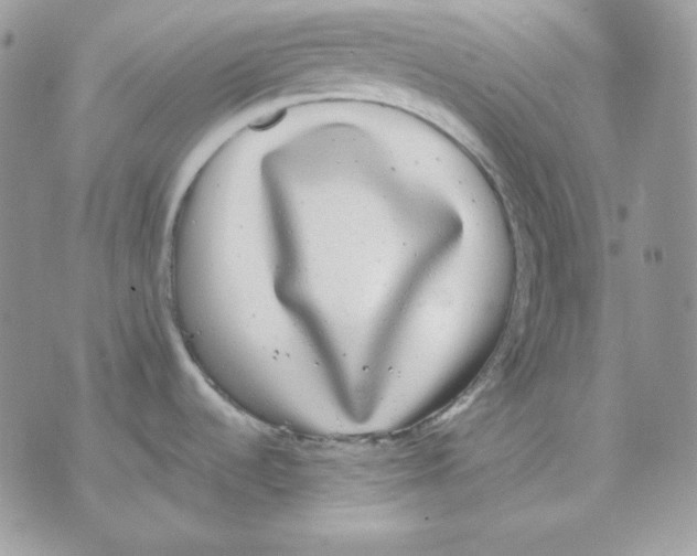 X0000070341536200607072000