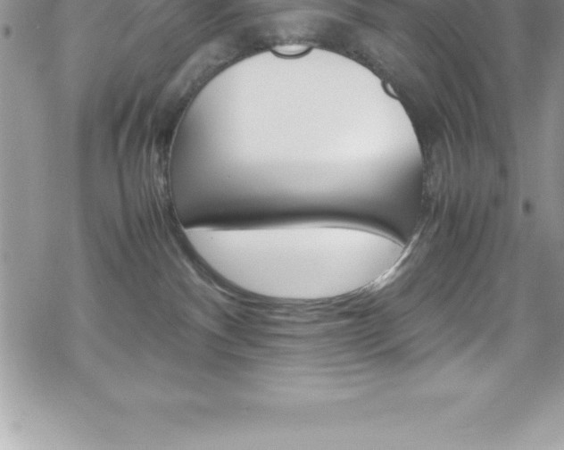 X0000070350140200606090837