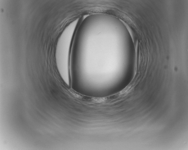 X0000070350143200606090837
