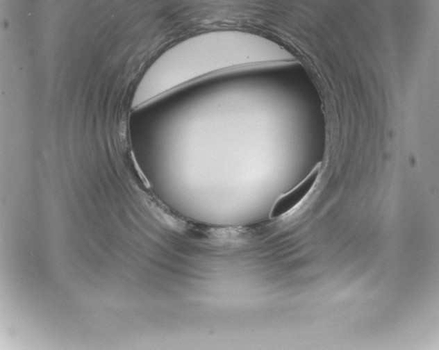 X0000070350192200606090837