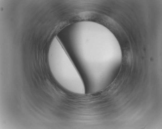 X0000070350220200606090836