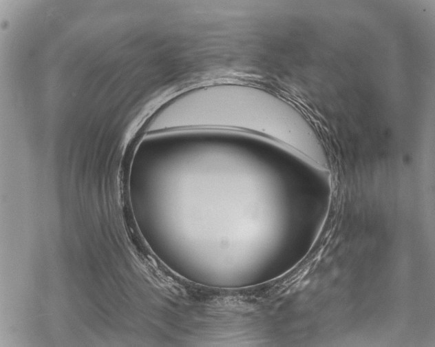 X0000070350244200606090835