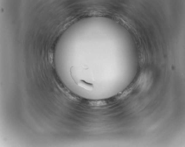X0000070350281200606090835