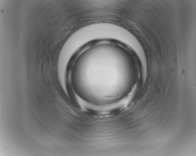 X0000070350368200606090834