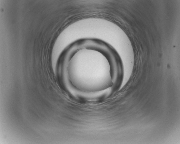X0000070350421200606090833