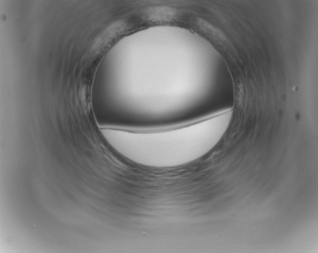 X0000070350428200606090832