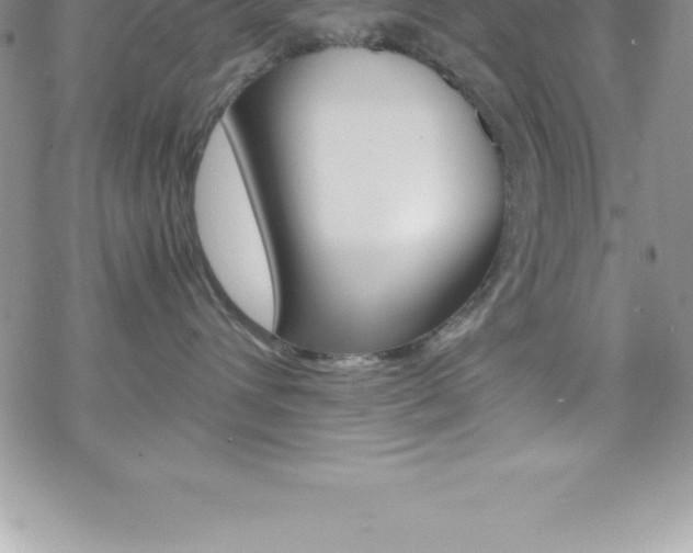 X0000070350432200606090832