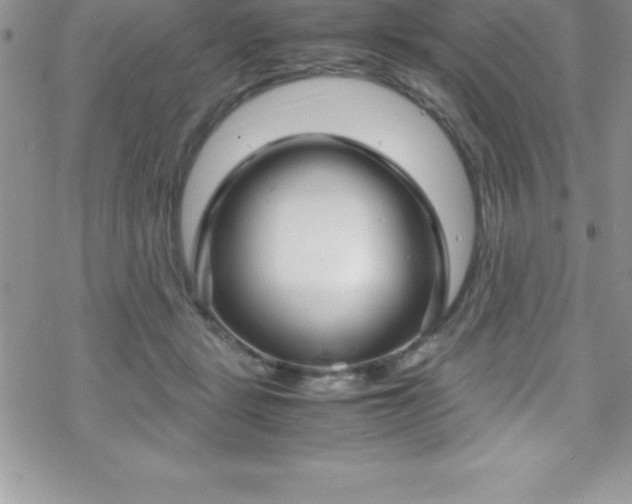 X0000070350461200606090832
