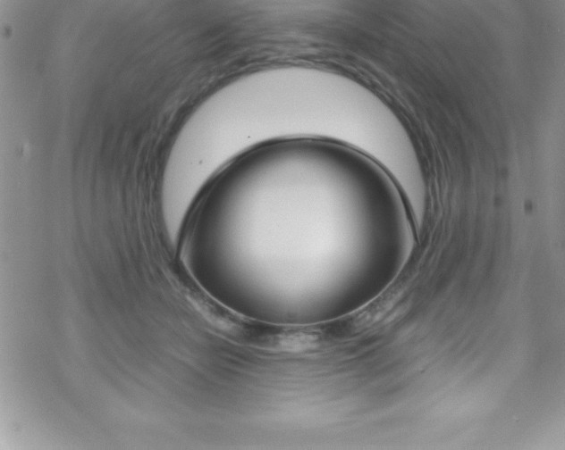 X0000070350462200606090832
