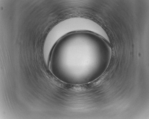 X0000070350464200606090832