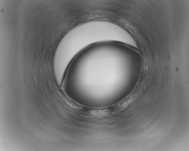 X0000070350465200606090832