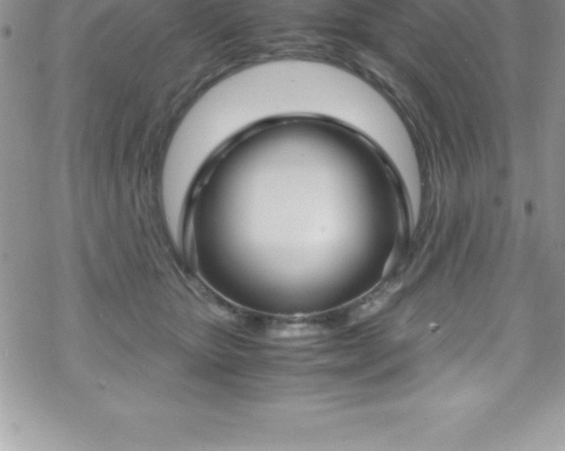 X0000070350467200606090832