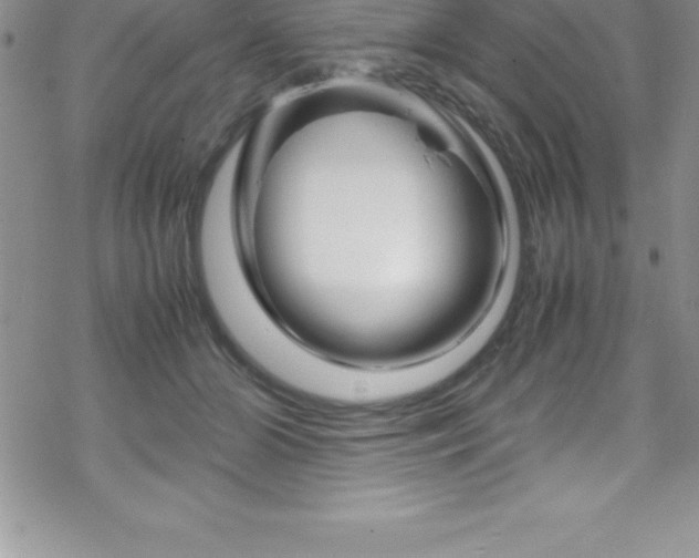 X0000070350510200606090831