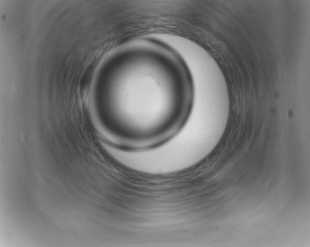 X0000070350514200606090831