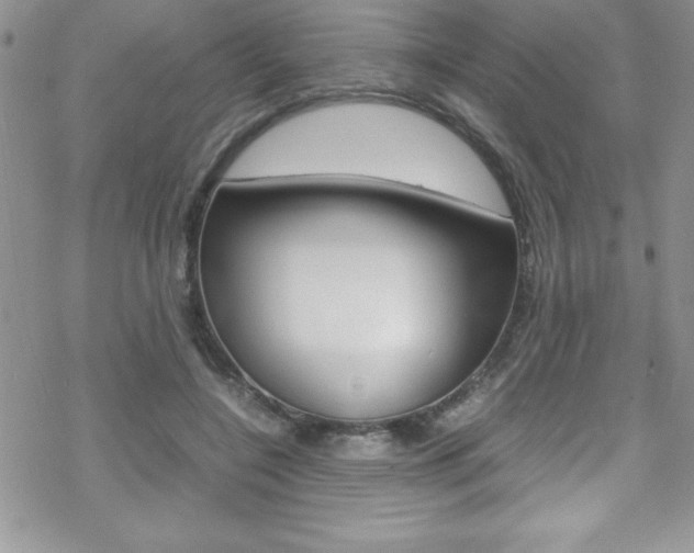 X0000070350548200606090830