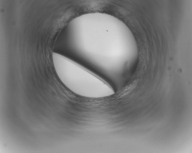 X0000070350624200606090829