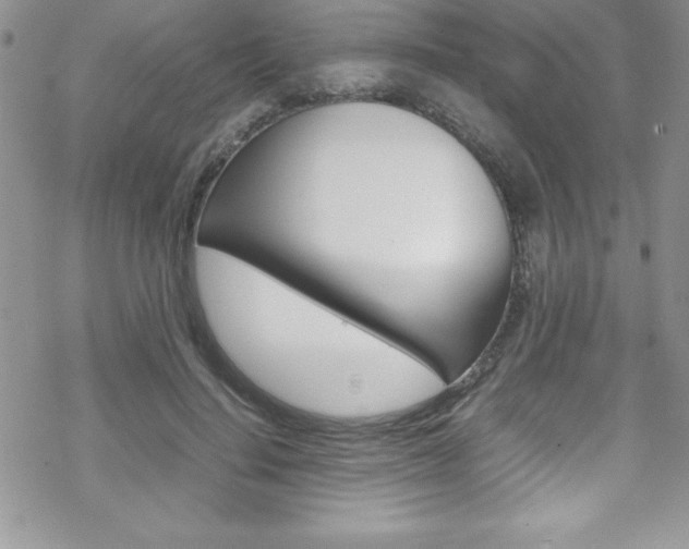 X0000070350644200606090829