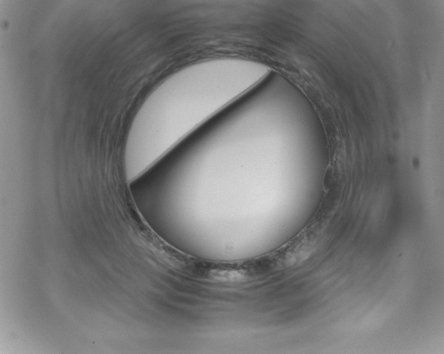 X0000070350649200606090829