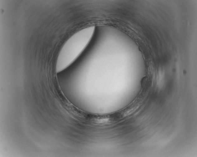 X0000070350651200606090829