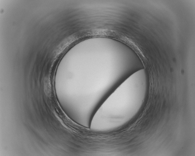 X0000070350674200606090828