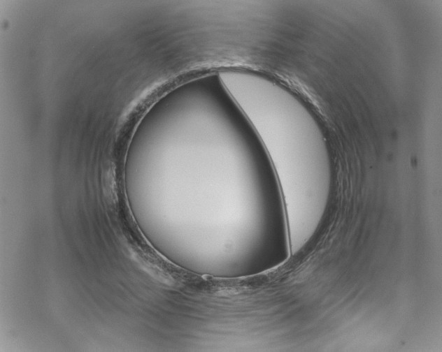 X0000070350684200606090828